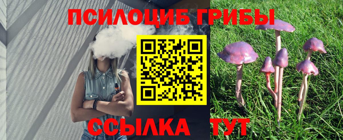 Псилоцибиновые грибы Cubensis Печора