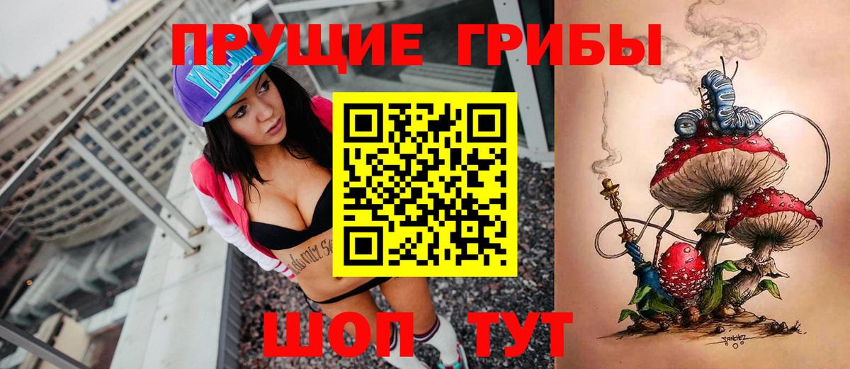 Галлюциногенные грибы Psilocybe  Вход с VPN  Печора 